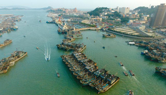 In pics: Da'ao fishing port in SE China's Fujian