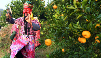 Actors perform Nuo dance to celebrate orange harvest at E China's village