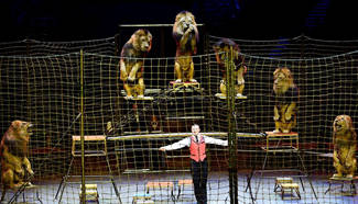 Int'l Circus Festial opens in south China