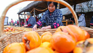 Persimmon cultural festival held in E China