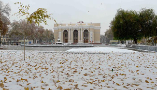 Tashkent sees first snowfall this year in Uzbekistan