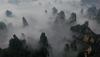 Scenery of sea of clouds in C China's Zhangjiajie
