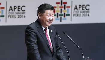 In pics: Chinese president's visit in Peru