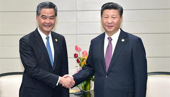 Xi says central gov't fully acknowledges work of HKSAR chief executive, gov't