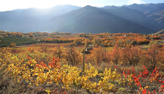 Autumn scenery in southwest China's Sichuan