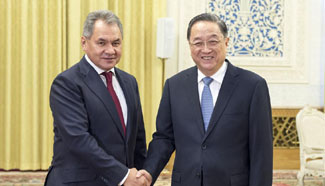 China, Russia pledge to enhance military cooperation