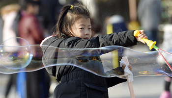 People enjoy warm winter day at Zhongshan Park in NW China's Yinchuan
