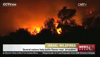 Several nations help battle flames near Jerusalem
