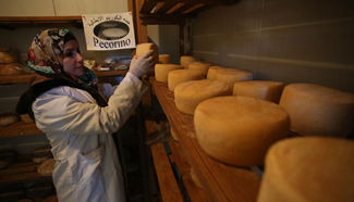 Palestinian employees make Italian cheese in Tubas