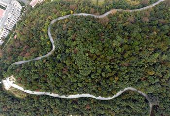 Aerial photos of Xixi valley in China's Hangzhou