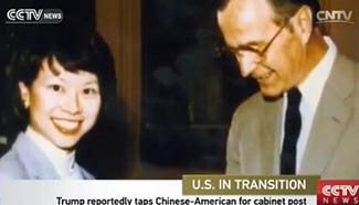 Trump reportedly taps Chinese-American for cabinet post