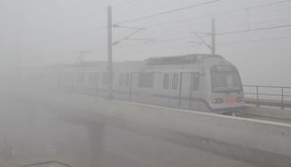 Heavy fog shrouds New Delhi, India