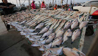 Dried fish seen at Gangdong Port in east China's Qingdao