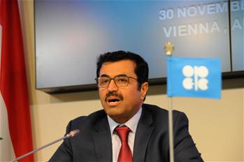 OPEC decides to cut oil output by 1.2 mln barrels per day