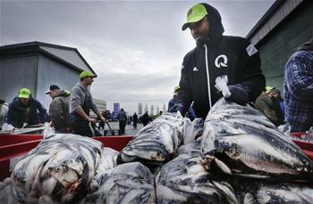 Fishermen's herring sales as donation helps kids with cancer in Richmond