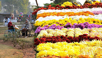 In pics: flower exhibition in Islamabad, Pakistan