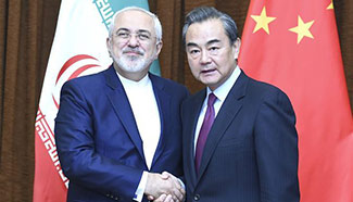 Chinese, Iranian FMs meet in Beijing
