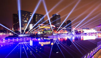 Light festival held in east China's Ningbo