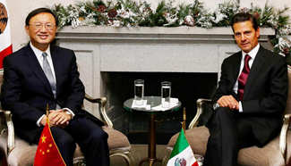 China's state councilor meets Mexico's president
