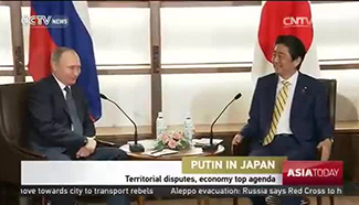 Territorial disputes, economy top agenda in Putin's visit to Japan