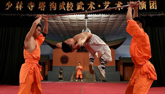 Students practise martial arts in central China