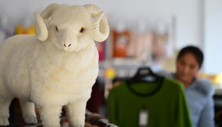 Cashmere and fluff products fair held in north China's Hebei