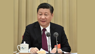 Chinese leaders planning reforms for 2017