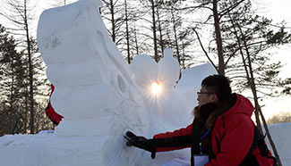 Snow sculpture competition held in NE China