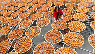 Time for persimmon harvest, SE China