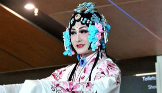 Tranditional Chinese culture show held in New Zealand