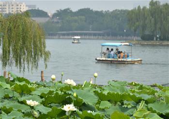 Old zone of Daming Lake to be ticket free to public from Jan. 1