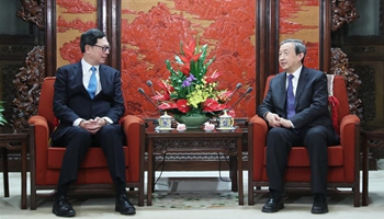 Vice Premier Ma Kai meets with HK delegation in Beijing