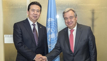 Incoming UN chief meets Interpol President Meng Hongwei in New York