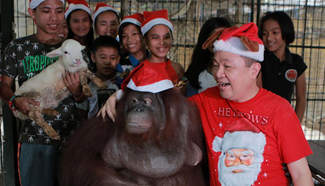 "Animal Christmas Party" held in the Philippines