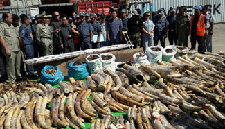 Cambodia releases details of ivory, wild animal bones seized over weekend