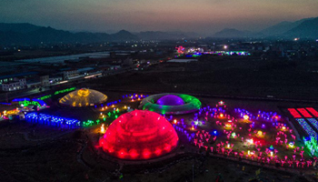 Tens of thousands of rose-shaped lights exhibited in E China's county