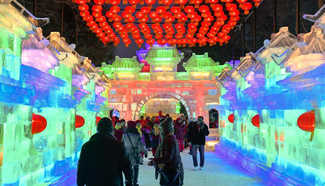 Ice-lantern show kicks off in Harbin