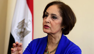 Egypt on right path in fighting illegal immigration: Egyptian official