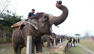 13th Elephant Festival held in Nepal