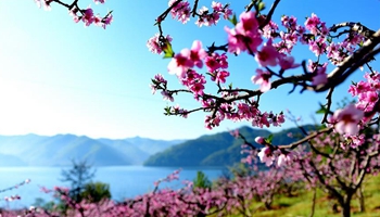 Four seasons of beautiful scenery across China - spring