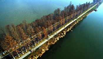Greenways across Donghu Lake in central China's Wuhan