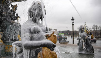 Sculptures covered with ice seen in Paris, France