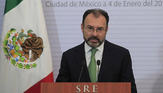 Mexican President names new minister of foreign affairs