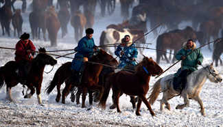 Herdsmen lasso horses in north China