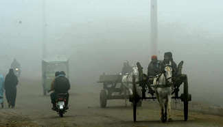 Heavy fog hits eastern Pakistan's Lahore
