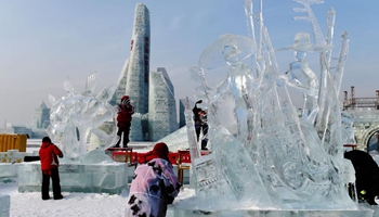 31st Int'l Ice Sculpture Competition ends in China's Harbin