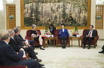 Chinese Vice Premier meets foreign experts in Beijing