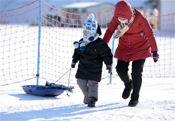 Kids have fun with winter sports in NE China