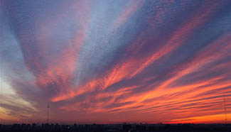 In pics: dreamy scene of dawn spreading above Beijing