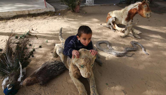 Zoo in S Gaza Strip faces closure due to economical problems